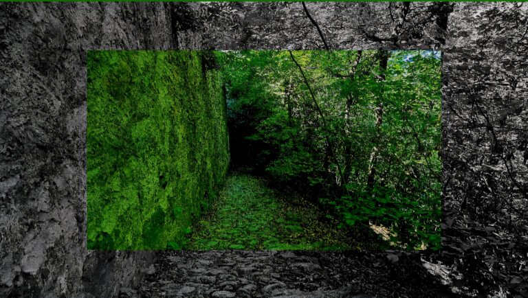 H501L – Liquid Jungle DnB mixtape (ottobre 2026)
